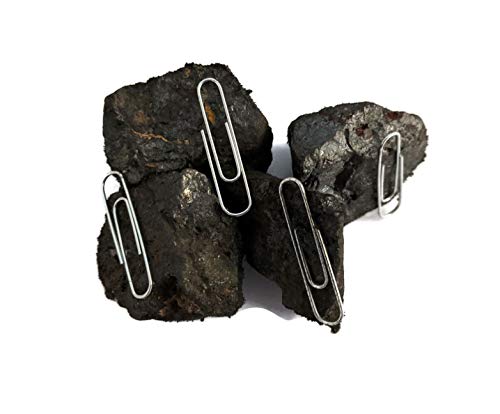 Naturally Magnetic Lodestone 4 Pieces - Includes Velvet Storage Bag