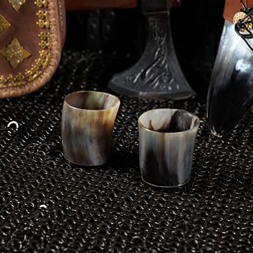 Mythrojan Viking Drinking Horn Shot Glass, Norse Medieval Tankard Shot Glass Pair