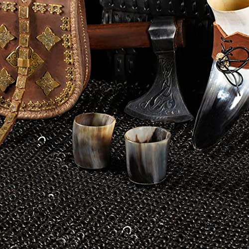 Mythrojan Viking Drinking Horn Shot Glass, Norse Medieval Tankard Shot Glass Pair