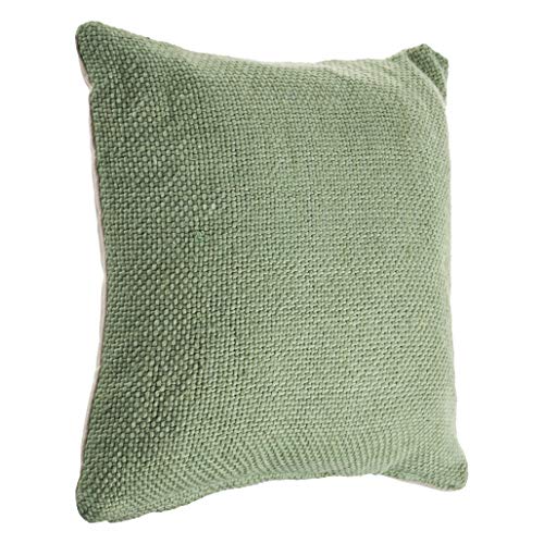 LR Home Smoke Solid Throw Pillow, 18"x18", Light Green/Muted Green