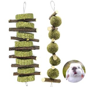 Barley Ears Rabbit Chew Toys for Teeth, 2 Pcs 100% Organic Natural Apple Wood Grass Cake & Ball String, Ideal for Chinchillas, Guinea Pigs, Hamsters Bunny Improve Dental Health