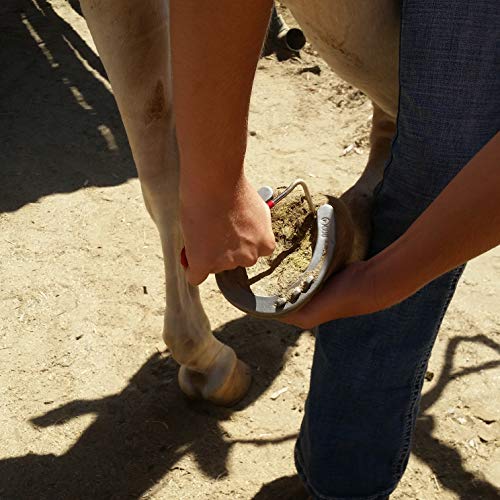 Vinyl Coated Steel Hoof Picks for Horses (2 Pack Red)Q