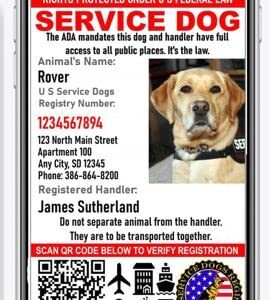 Just 4 Paws Custom Service Dog ID Card with QR Code & Security Seal and Optional Holograph | Registration to U S Service Dogs Registry Plus ID Holder & Digital ID - Portrait Style