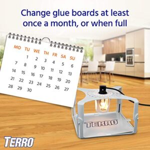 TERRO T231 Flea Trap Refills - Replacement Flea Trap Glue Boards - 3 Pack