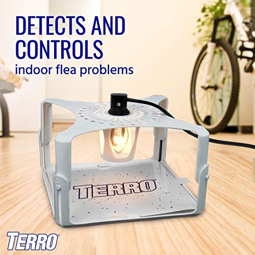 TERRO T231 Flea Trap Refills - Replacement Flea Trap Glue Boards - 3 Pack