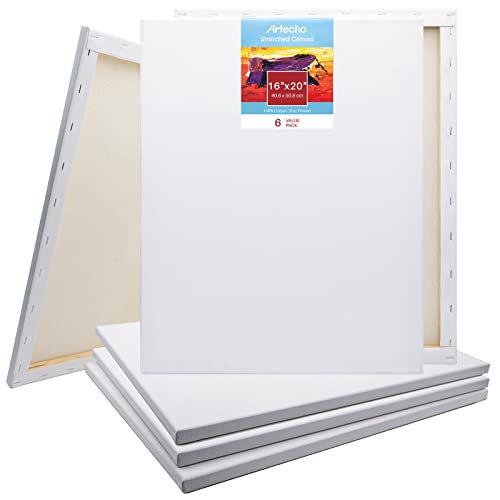 Artecho 16x20 Inch Stretched Canvas, White Blank 6 Pack, Primed 100% Cotton, Super Value Bulk Pack for Painting, Acrylic Pouring, Oil Paint & Artist Media