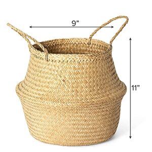 Artera Woven Seagrass Plant Basket - Wicker Belly Basket Planter Indoor with Plastic Liner and Handles, Natural Plant Pot for Fiddle Leaf Fig Tree, Snake Plant (Medium, Natural)