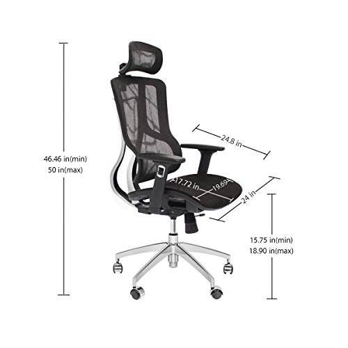 CangLong Executive Chair with 2D Adjustable Headrest, Ergonomic Office Chair with Mesh Seat and High Back, Desk Chair with 3D Armrest, Multifunction for Relaxation, BIFMA Certification No 5.1, Black