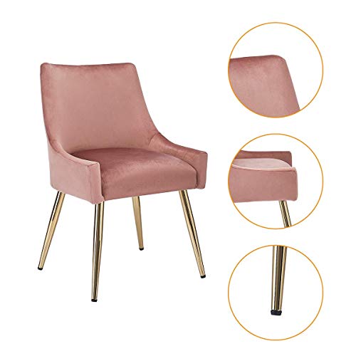 CangLong Velvet Upholstered Dining Chair for Dining Room Accent Leisure Side with Metal Legs, Pink