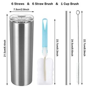 20 Oz Stainless Steel Skinny Tumbler, 6 Pack Double Wall Insulated Tumblers with Lids and Straws, Insulated Travel Water Tumbler Cup, Slim Vacuum Tumbler Travel Mug for Coffee Water Drinks, Silver