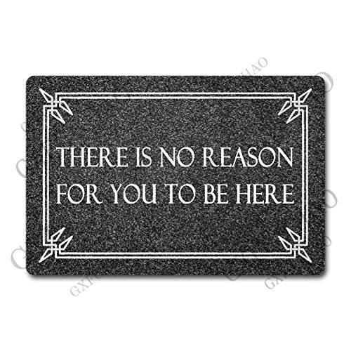 Funny Welcome Mats for Entrance Indoor Personalized Kitchen Rugs and Mats Anti-Slip Novelty Gift Mat(23.7 X 15.9 in) (There is No Reason for You to Be Here)