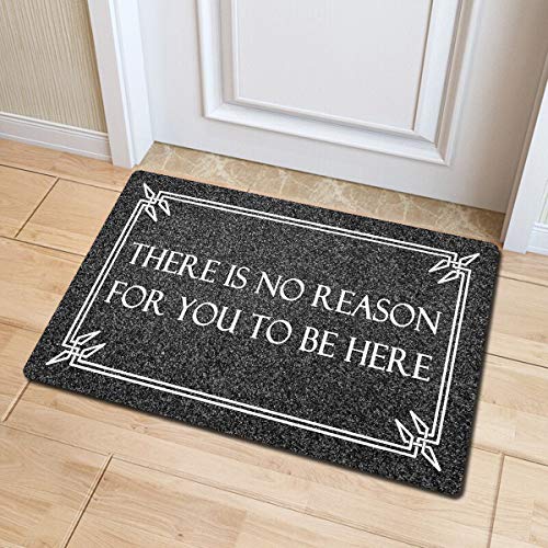 Funny Welcome Mats for Entrance Indoor Personalized Kitchen Rugs and Mats Anti-Slip Novelty Gift Mat(23.7 X 15.9 in) (There is No Reason for You to Be Here)