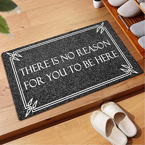 Funny Welcome Mats for Entrance Indoor Personalized Kitchen Rugs and Mats Anti-Slip Novelty Gift Mat(23.7 X 15.9 in) (There is No Reason for You to Be Here)