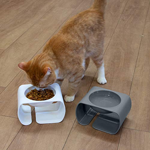 Kitty City Raised Cat Food Bowl Collection_Stress Free Pet Feeder and Waterer