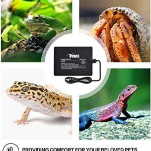 iPower PTHTPDCTRLV2HTPDM 6"x8" Reptile Heating Pad Under Tank Terrarium Heat Mat with Digital Thermostat Temperature Controller for Small Animals