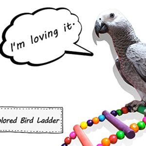 DS. DISTINCTIVE STYLE Bird Ladder Toys Coloured Flexible Parrot Swing Bridge Wooden Cockatiel Cage Hanging Climbing Ladder (27.6 in (12 Steps))