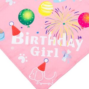 ADOGGYGO Dog Birthday Bandana Hat Set Dog Puppy Birthday Party Supply Dog Bandana Boy Girl Puppy Birthday Hat Scarf for Small Medium Dog Pet (Pink Scarf & Crown)