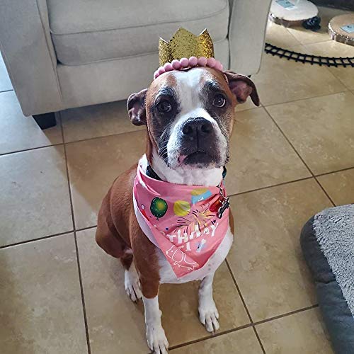 ADOGGYGO Dog Birthday Bandana Hat Set Dog Puppy Birthday Party Supply Dog Bandana Boy Girl Puppy Birthday Hat Scarf for Small Medium Dog Pet (Pink Scarf & Crown)