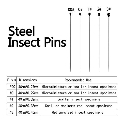 500 Pieces Stainless Steel Insect Pins Specimen Pins Entomology Pins Butterfly Collection Needles for School Lab Entomology Butterfly Collectors, 5 Sizes