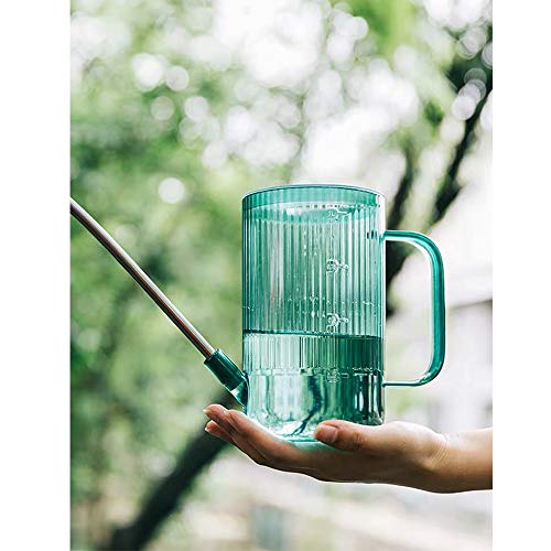 Small Watering Can for Indoor Plants with Long Spout for Flowers, Succulents 34oz(Green)
