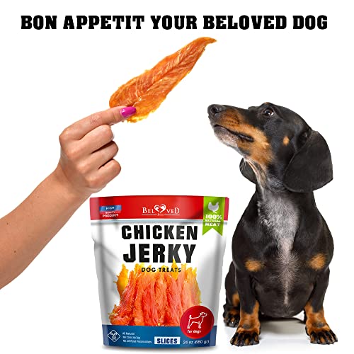 Chicken Jerky Dog Treats 1.5 Lb - Human Grade Pet Snacks & Grain Free Organic Meat - All Natural High Protein Dried Strips - Best Chews for Training Small & Large Dogs - Bulk Soft Pack Made for USA