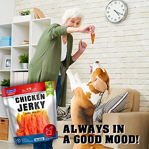 Chicken Jerky Dog Treats 1.5 Lb - Human Grade Pet Snacks & Grain Free Organic Meat - All Natural High Protein Dried Strips - Best Chews for Training Small & Large Dogs - Bulk Soft Pack Made for USA