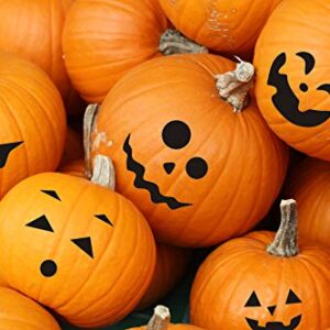 Halloween Pumpkin Stickers Crafts Decorations -Make Your Own Jack-O-Lantern - Trick or Treat Party Supplies 64Ct