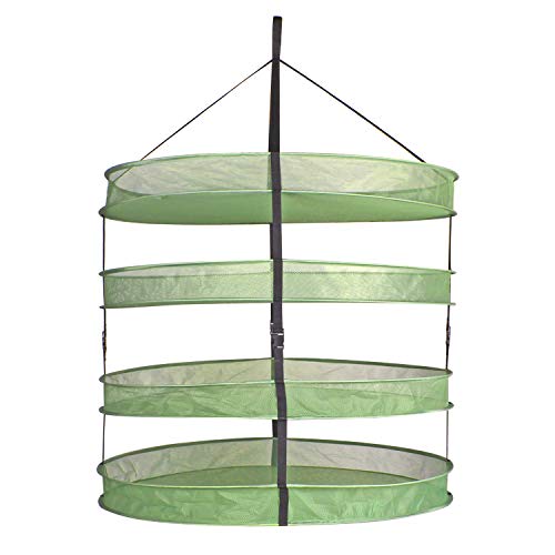 Aiicioo Herb Drying Rack - 4 Layer 3 Feet Collapsible Hanging Mesh Dry Net Folding Mesh Herb Dryer for Plant Weed Mushroom Vegetable Seeds Flowers