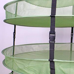 Aiicioo Herb Drying Rack - 4 Layer 3 Feet Collapsible Hanging Mesh Dry Net Folding Mesh Herb Dryer for Plant Weed Mushroom Vegetable Seeds Flowers