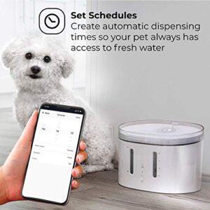 Home Zone Pet Water Fountain - Smart 2.4GHz Automatic Water Fountain for Small Cats and Dogs with Water Filter, 2L