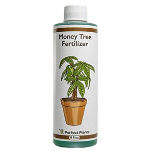 perfect plants liquid money tree fertilizer | 8oz. of premium concentrated indoor and outdoor pachira aquatica fertilizer | use with containerized houseplant money trees