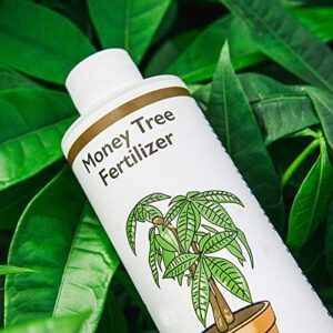 Perfect Plants Liquid Money Tree Fertilizer | 8oz. of Premium Concentrated Indoor and Outdoor Pachira Aquatica Fertilizer | Use with Containerized Houseplant Money Trees