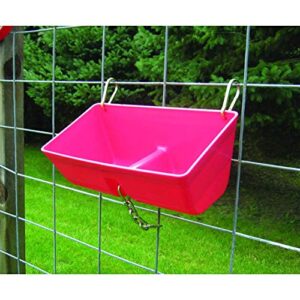 Little Giant FF16RED 9 Quart Heavy Duty Plastic Feed Trough Bucket Fence Feeder with Clips for Livestock & Pets, Red (2 Pack)