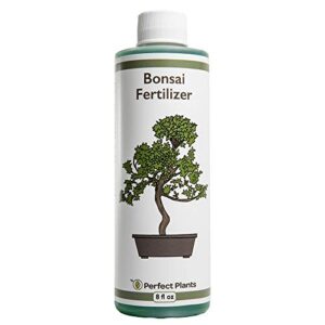 perfect plants liquid bonsai fertilizer | 8oz. of premium concentrated indoor and outdoor bonsai fertilizer | use with all bonsai varieties | trees in pots