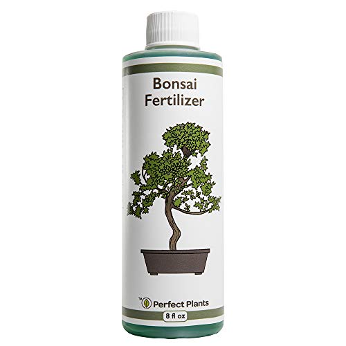 Perfect Plants Liquid Bonsai Fertilizer | 8oz. of Premium Concentrated Indoor and Outdoor Bonsai Fertilizer | Use with All Bonsai Varieties | Trees in Pots