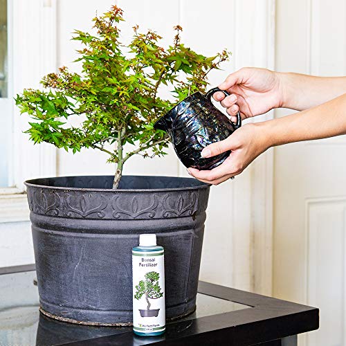 Perfect Plants Liquid Bonsai Fertilizer | 8oz. of Premium Concentrated Indoor and Outdoor Bonsai Fertilizer | Use with All Bonsai Varieties | Trees in Pots