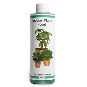 perfect plants liquid indoor plant food | 8oz. of concentrated all-purpose fertilizer | use with all varieties of houseplants