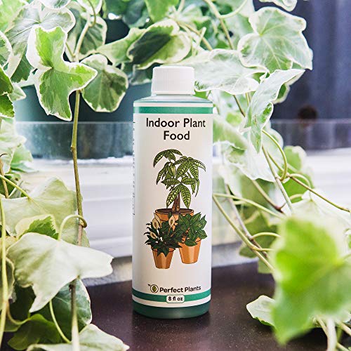 Perfect Plants Liquid Indoor Plant Food | 8oz. of Concentrated All-Purpose Fertilizer | Use with All Varieties of Houseplants