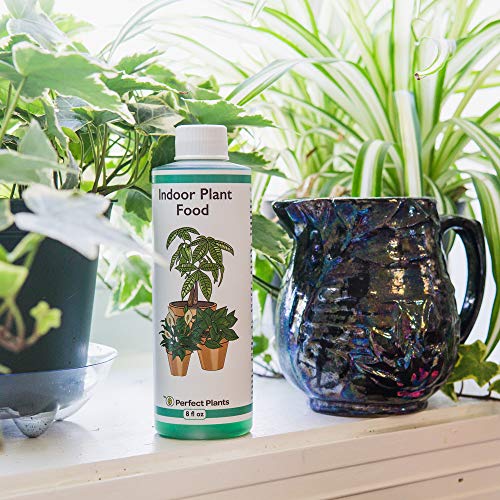 Perfect Plants Liquid Indoor Plant Food | 8oz. of Concentrated All-Purpose Fertilizer | Use with All Varieties of Houseplants