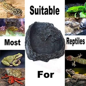 Tfwadmx Resin Reptile Food Bowls, Reptile Rock Feeder Dish, Amphibian Water and Food Bowls with Feeding Tweezers Tong for Leopard Gecko Lizard Frog Snake Chameleon Tortoise