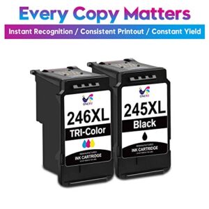 ONLYU Compatible Replacement for Canon Ink Cartridges 245 246 XL PG 245 CL 246 245XL 246XL for PIXMA MX490 MX492 TR4500 TR4520 MG2522 MG2922 MG2520 MG2920 TS3100 TS3122 TS3300 Printer (Black Color)