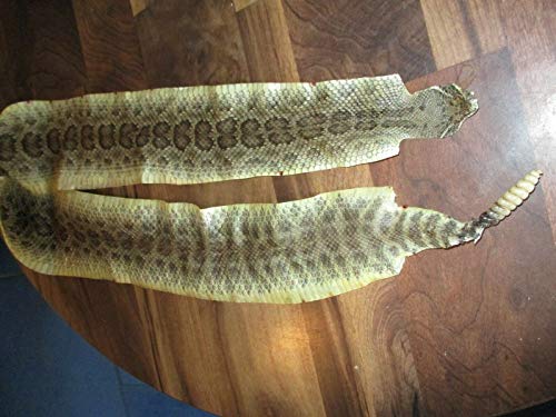 Rattlesnake Skin Prairie Rattler Hide Dry Tanned Bow Wrap Pen Blanks 44"