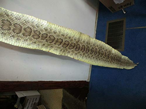 Rattlesnake Skin Prairie Rattler Hide Dry Tanned Bow Wrap Pen Blanks 44"