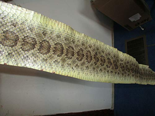 Rattlesnake Skin Prairie Rattler Hide Dry Tanned Bow Wrap Pen Blanks 44"