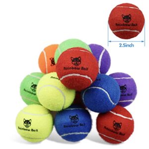 PIKASEN Rainbow Tennis Balls for Dogs 2.5" or 2.3" Size 12 Pack 6 Bright Colours Interactive Dog Toys Dog Gift for Large Dogs and Medium Small Dogs (2.5 Inches)