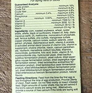 Homestead Harvest Non-GMO Whole Grain Layer Blend 16% for Laying Hens or Ducks 25lb