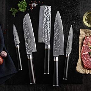 HEZHEN Damascus Steel 7pcs Kitchen Knives Block Set, Multifunctional Kitchen Shears, Professional forging Chef Knife Santoku Nakiri Utility Fruit, Ergonomic Ebony Handle -Classic Series