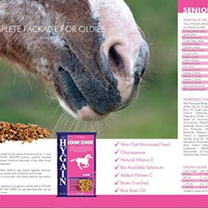 Hygain Senior - Highly Palatable Non-Oat Micronized Sweet Feed for Horses
