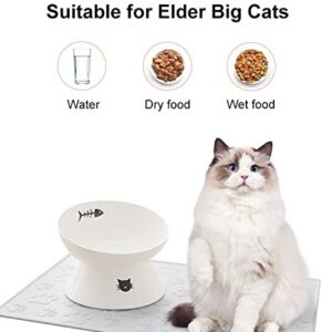 immaculife Ceramic Raised Cat Food Bowl for Elder Big Cats, Elevated Cat Dish, Tilt Angle Protect Cat's Spine, Stress Free, Backflow Prevention, Gift for cat