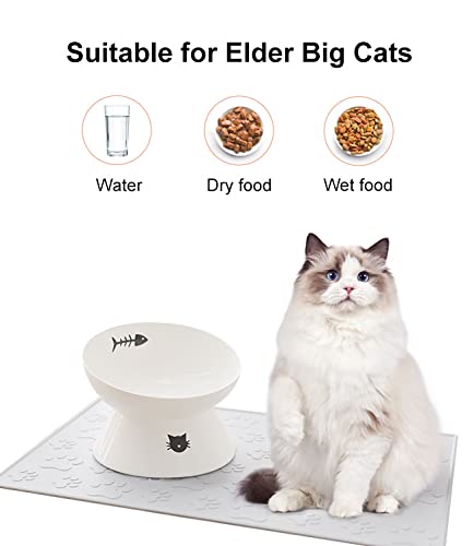immaculife Ceramic Raised Cat Food Bowl for Elder Big Cats, Elevated Cat Dish, Tilt Angle Protect Cat's Spine, Stress Free, Backflow Prevention, Gift for cat